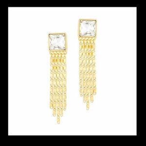 Clear & Gold Chain Tassel Earrings